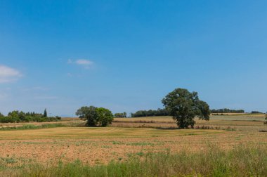 Katalonya Emporda tipik peyzaj:. Lehçe kırsal, hasat alanları, haystacks. Costa Brava, İspanya.
