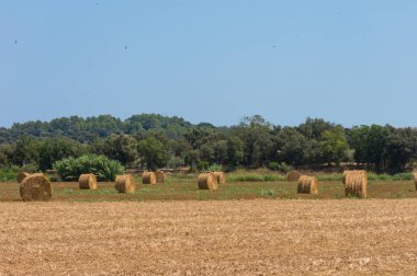 Katalonya Emporda tipik peyzaj:. Lehçe kırsal, hasat alanları, haystacks. Costa Brava, İspanya.