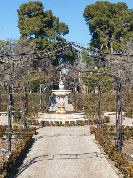 西班牙马德里 2018年1月27日 Buen 雷蒂罗公园玫瑰园小径 在雷蒂罗公园植物园的罗萨斯西班牙公园 马德里 西班牙 — 图库照片