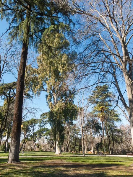 Uitzicht Het Retiro Park Madrid Buen Retiro Park Een Historische — Stockfoto