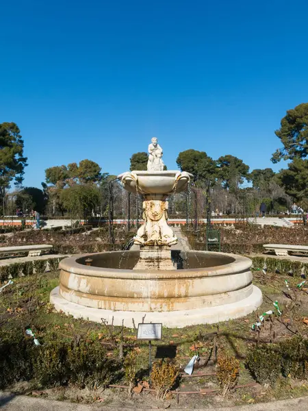 Madrid Spanyolország Január 2018 Kút Kertben Rózsák Buen Retiro Park — Stock Fotó