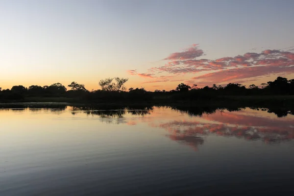 Восход Солнца Джунглях Природный Парк Якума — стоковое фото