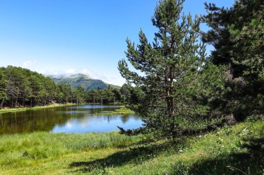 Aran Vadisi Katalanca Pyrenees, İspanya