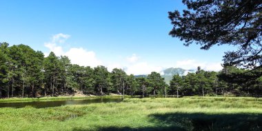 Aran Vadisi Katalanca Pyrenees, İspanya