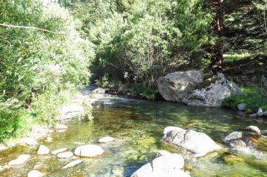 Sant Nicolau nehir, Katalanca Pyrenees, İspanya