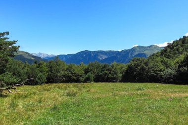 Aran Vadisi Katalanca Pyrenees, İspanya