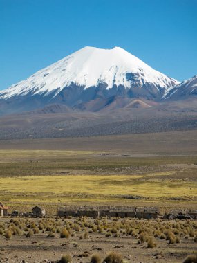 Parinacota volkan. Andes yüksek Andean peyzaj. 