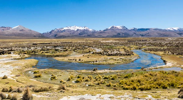 Hoge Andes toendra-landschap in de bergen van de Andes. — Stockfoto