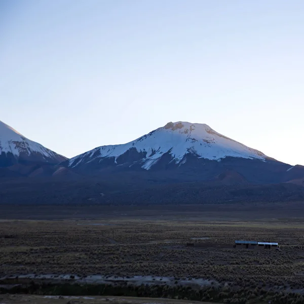 Tramonto sulle Ande. Vulcano Parinacota. Alto paesaggio andino in th — Foto Stock