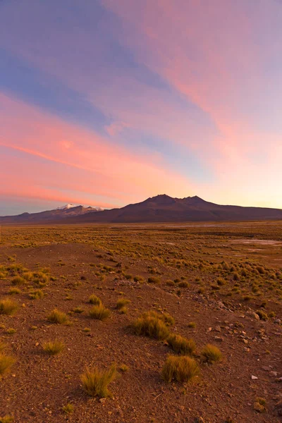 Tramonto sulle Ande. Vulcano Parinacota. Alto paesaggio andino in th — Foto Stock
