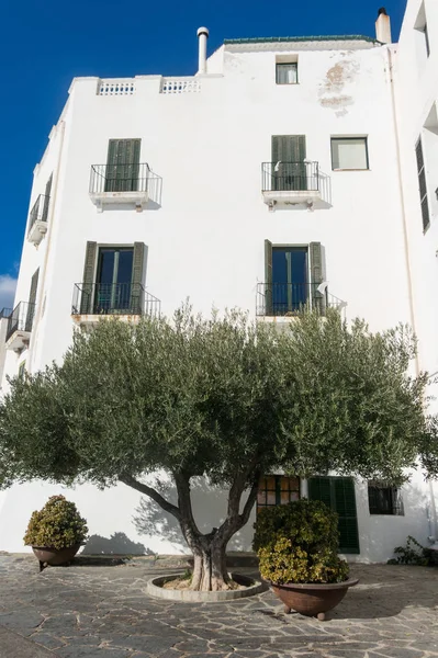 Typisches weißes mediterranes Haus, im Dorf der cadaques, o — Stockfoto