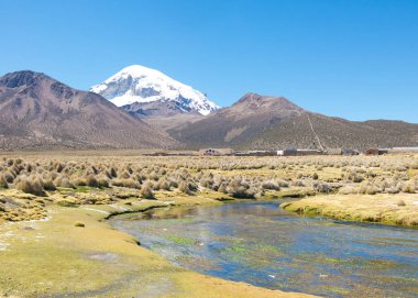 And Dağları'nın dağlarda yüksek and tundra peyzaj. 
