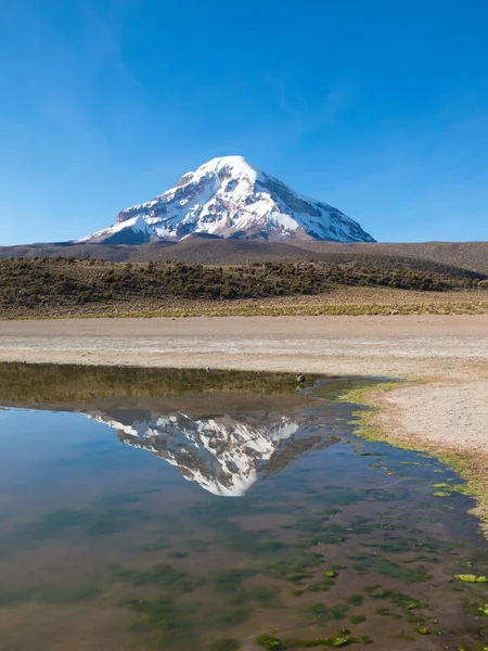 Сахама вулкан і озера Huanacota. Андійський Болівії — стокове фото