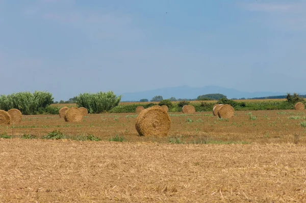 Польська сільській місцевості, зібраний урожай поля, копиці сіна. — стокове фото