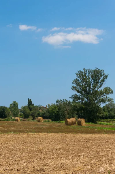 Польська сільській місцевості, зібраний урожай поля, копиці сіна. — стокове фото
