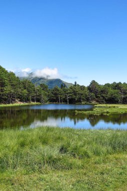 Aran Vadisi Katalanca Pyrenees, İspanya