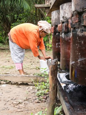 Yerli bir kadının baston suyu almak için şeker kamışı doğrama görüntüsü. Madidi Milli Parkı'ndaki Beni nehir alanı. Bolivya