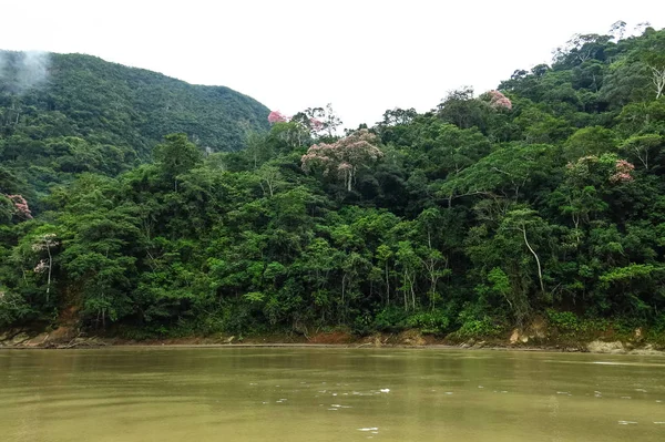 Madidi Milli Parkı'ndaki Beni nehri geçişinin görüntüsü. Bo — Stok fotoğraf