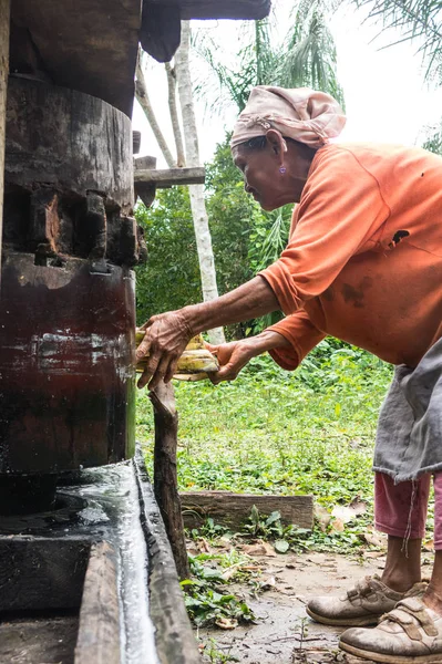 Bild av en inhemsk kvinna hugga sockerrör för att få sockerrör juic — Stockfoto