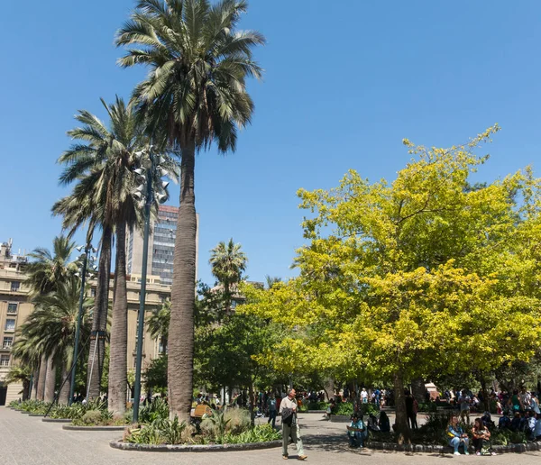 Πανόραμα της πλατείας Plaza de Armas στο Σαντιάγο της Χιλής. — Φωτογραφία Αρχείου