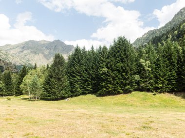 Pyrenees walley Panorama. Pla De Boavi eyaletinde 