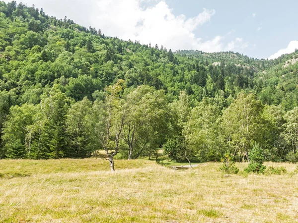 Panorama walleya w Pirenejach. Pla de Boavi w prowincji — Zdjęcie stockowe