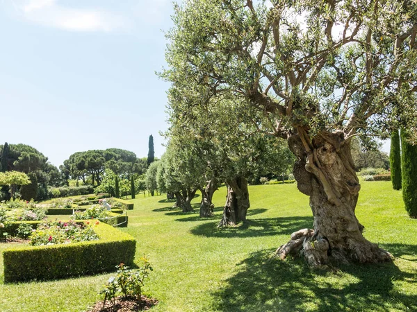 Parken Cervantes, rosenträdgården, Barcelona. — Stockfoto