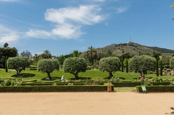 Der park cervantes, rosengarten, barcelona. — Stockfoto