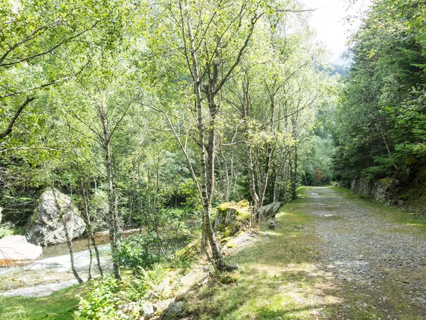 Small path or trekking of walks in the Pla De Boavi; Catalan Pyr — Stock Photo, Image