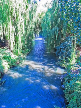 Maule nehir olarak Talca, Şili şehrin içinden geçer