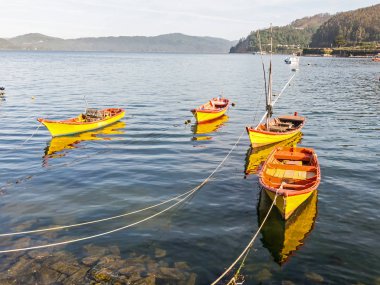 Küçük balıkçı tekneleri, Valdivia Nehri kıyısında demirlemiş, 
