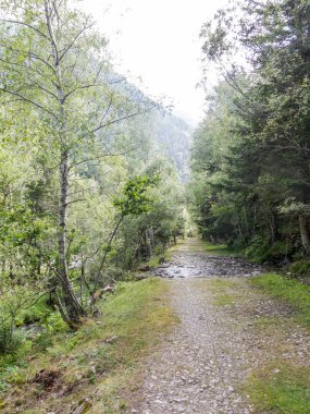 küçük bir yol veya Pla De Boavi yürüyüşlertrek; Katalan Pyr