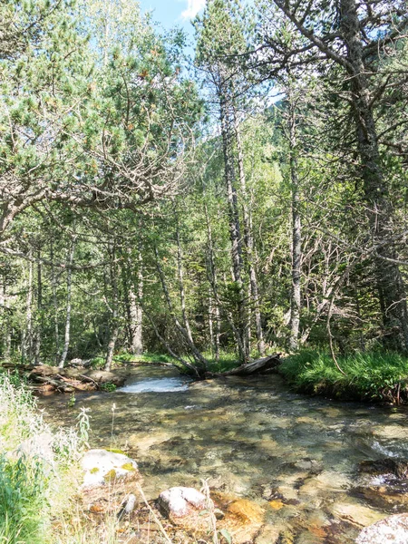 Panoramic of the Aiguestortes and Sant Maurici National Park, ro — Stock Photo, Image