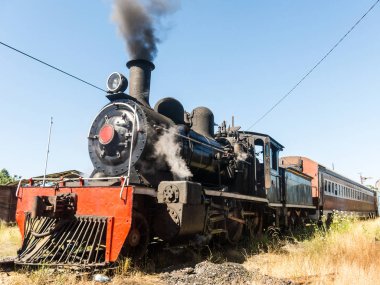 Valdivia'dan Antil'e giden Valdiviano adlı turist treni