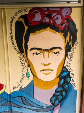 Valdivia şehrindeki Universidad Austral de Chile'de Frida Kahlo onuruna grafiti. İspanyolca metin diyor ki: 