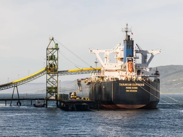 O navio mercante lascou o seu depósito. Indústria florestal, na cidade de Corral, Rio Valdivia . — Fotografia de Stock