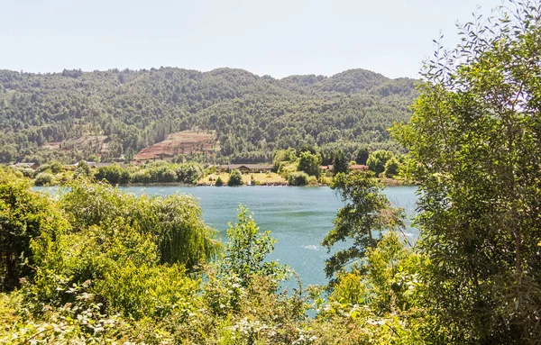 Panoráma a Callecalle folyóhoz, közel Valdivia városához, Lo — Stock Fotó