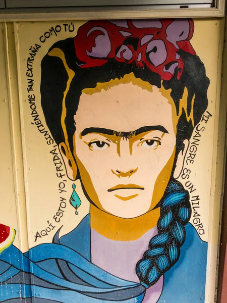 Graffiti em homenagem a Frida Kahlo na Universidad Austral de Chile, na cidade de Valdivia. O texto espanhol diz: "Aqui estou eu, Frida, sentindo-me estranha. O meu sangue é um milagre. — Fotografia de Stock