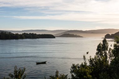 Küçük balıkçı tekneleri, Valdivia Nehri kıyısında demirlemiş, 