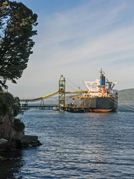 La nave mercante astilló su depósito. Industria forestal, en la ciudad —  Fotos de Stock