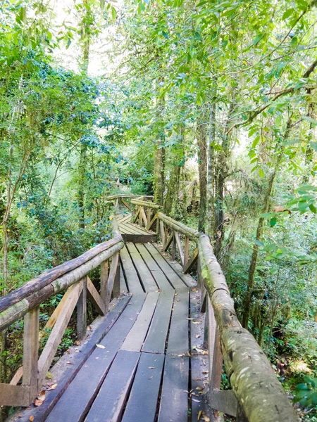 Houten loopbrug in Huilo Huilo Biological reserve, los Rios Region, Chili. — Stockfoto
