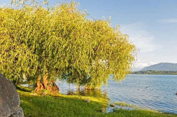 Panguipulli Gölü'nün sakin sularının sakin panoraması, — Stok fotoğraf