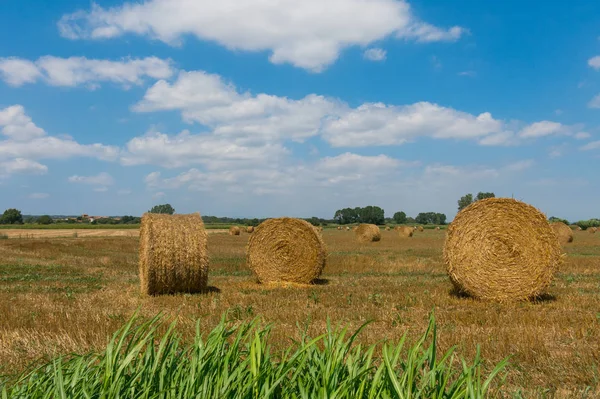 Typiska landskapet i Emporda i Katalonien, Spanien. — Stockfoto