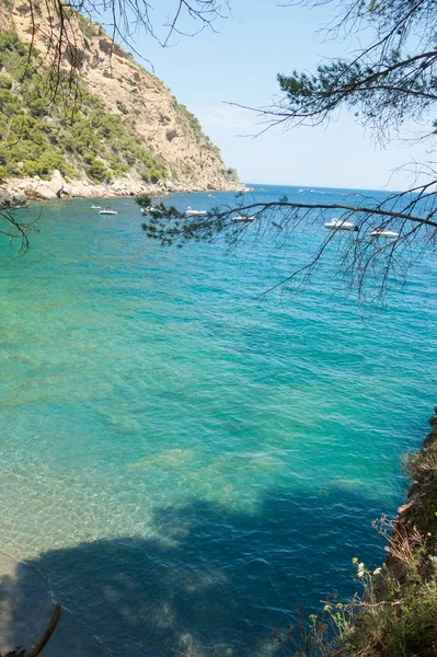 Immagine della spiaggia di Fonda, a Begur, provincia di Girona, in Spagna . — Foto Stock