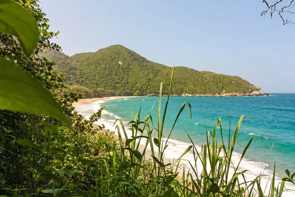 Caribisch strand met tropisch bos in Tayrona National Park, C — Stockfoto