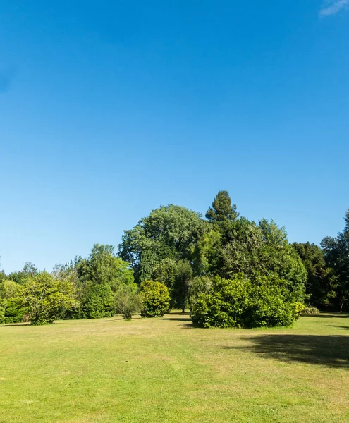 Jardim Botânico da Universidade Austral. Valdivia, Chile, Sou — Fotografia de Stock