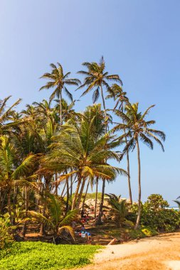 Tayrona Milli Parkı tropikal orman ile Karayip plaj, C