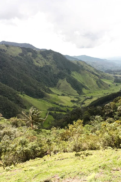 Cocora-Tal, das eingebettet zwischen den Bergen des Cor — Stockfoto