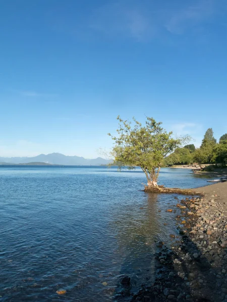 Panorámica del Lago Ranco, el tercer lago más grande de Chile. En la región de Los Ríos, en Araucana o Patagonia, Andes chilenos. Sur de Chile. En el fondo, la cordillera de los Andes —  Fotos de Stock