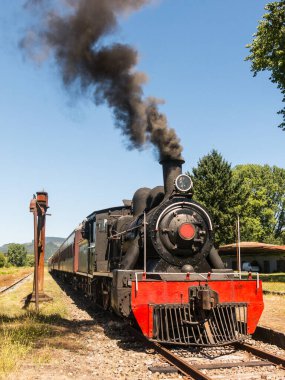 Valdivia'dan Antil'e giden Valdiviano adlı turist treni